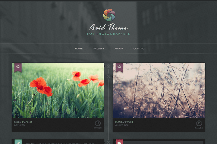 Avid Theme